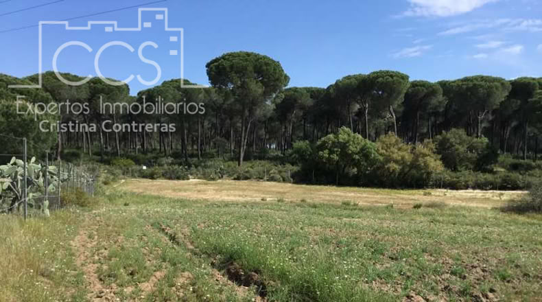 Huelva - Almonte - 10000m2