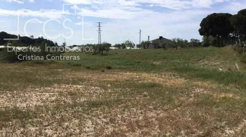 Huelva - Almonte - 10000m2