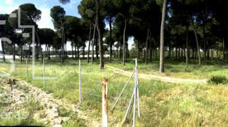 Huelva - Almonte - 10000m2