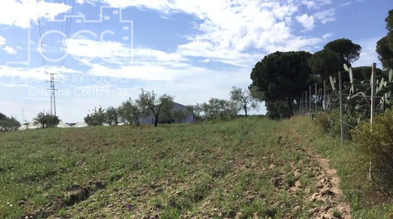 Huelva - Almonte - 10000m2