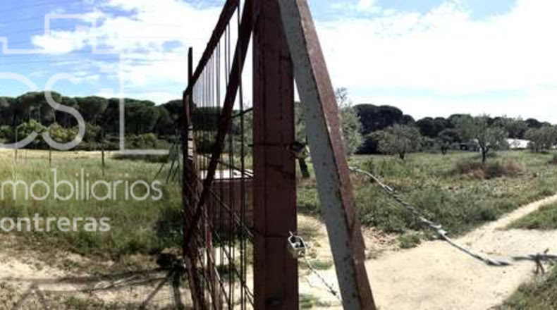 Huelva - Almonte - 10000m2