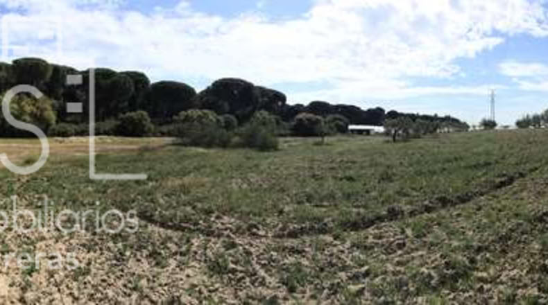 Huelva - Almonte - 10000m2