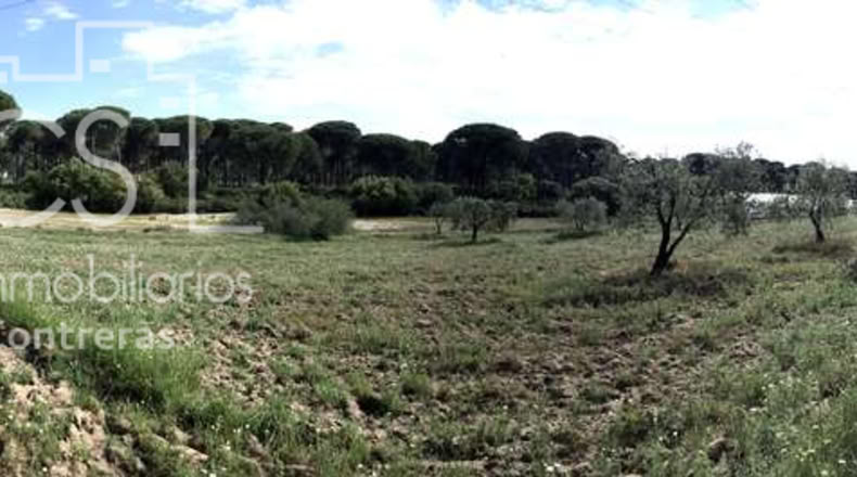 Huelva - Almonte - 10000m2