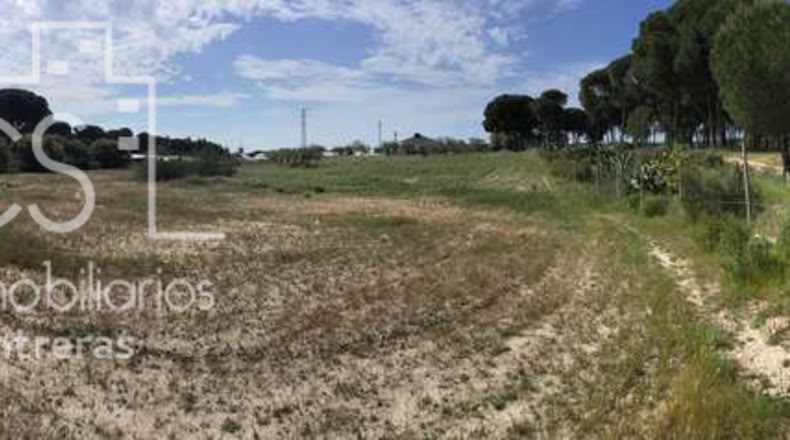 Huelva - Almonte - 10000m2