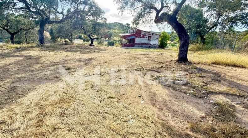 Sevilla - El Ronquillo - 8500m2