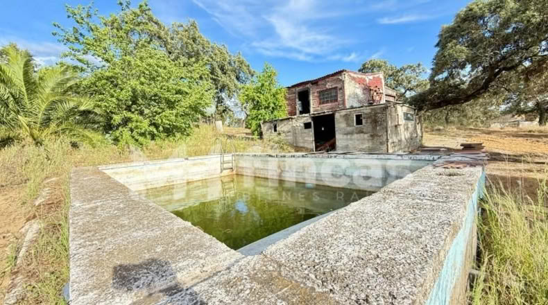Sevilla - El Ronquillo - 8500m2