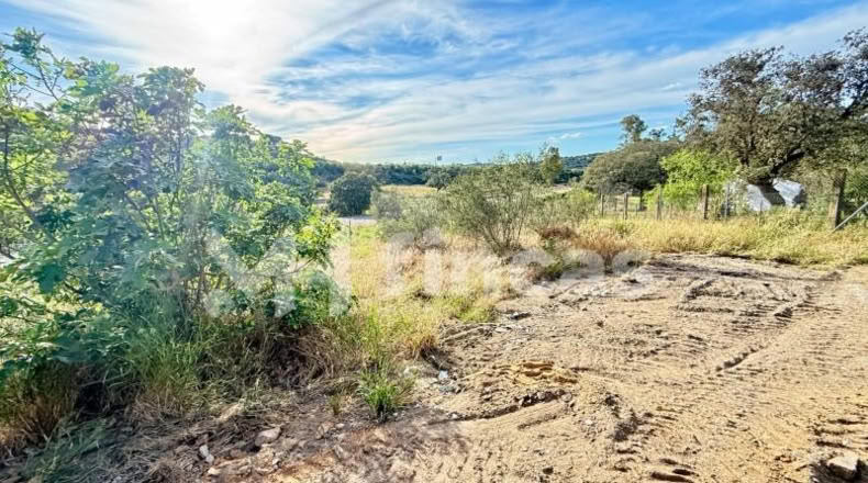Sevilla - El Ronquillo - 8500m2