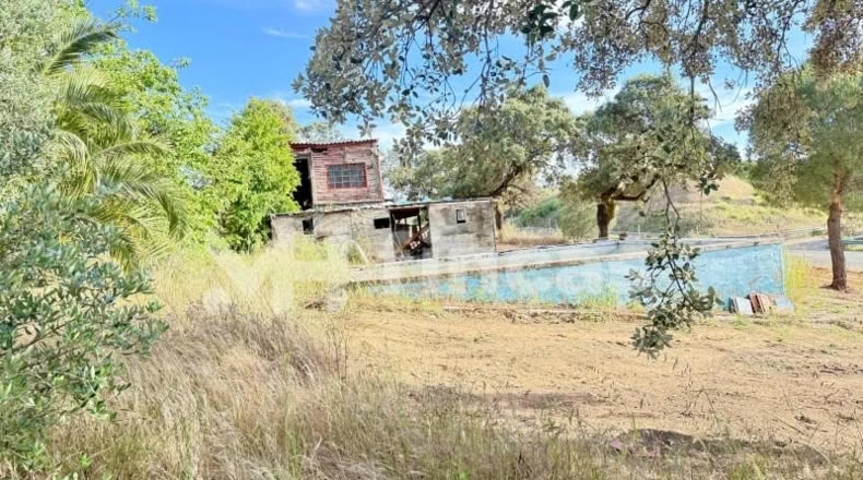 Sevilla - El Ronquillo - 8500m2