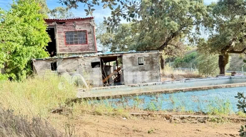 Sevilla - El Ronquillo - 8500m2