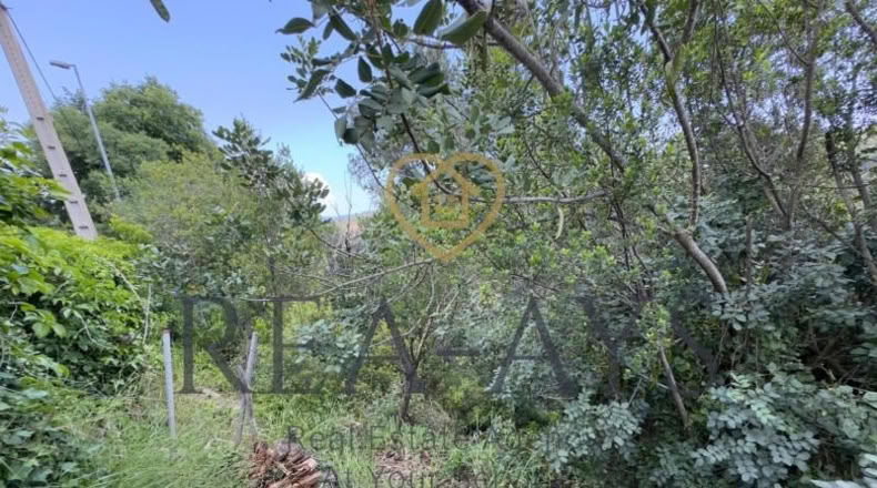 Barcelona - Vallromanes - 168m2