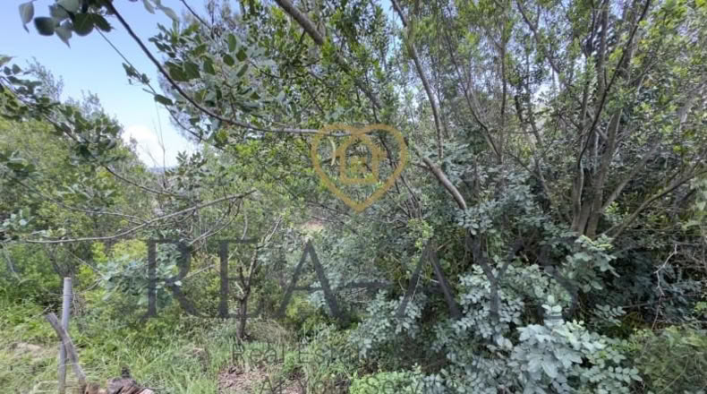 Barcelona - Vallromanes - 168m2