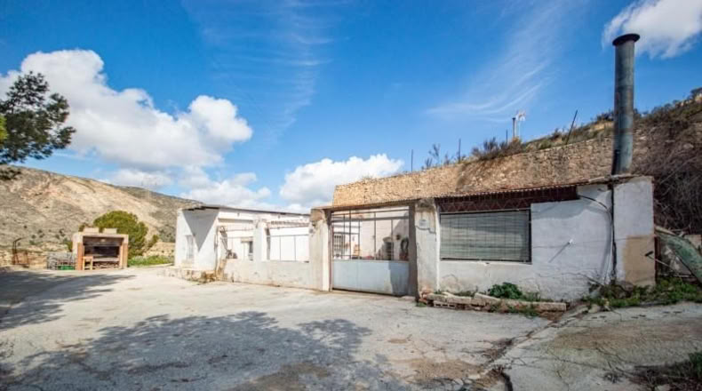 Аликанте - Petrer - 12900m2
