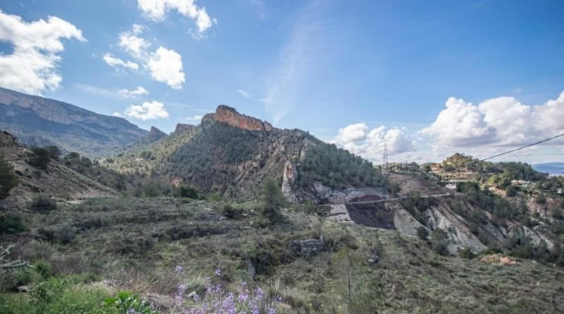 Аликанте - Petrer - 12900m2