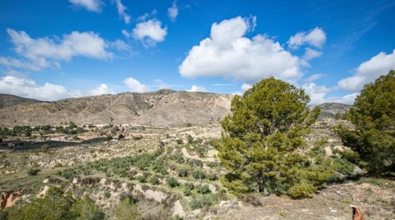Аликанте - Petrer - 12900m2