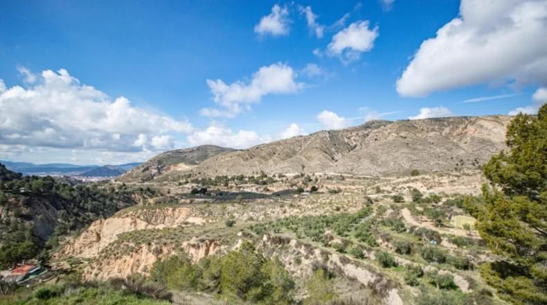 Аликанте - Petrer - 12900m2