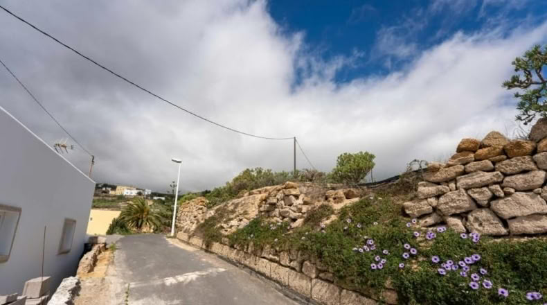 Santa Cruz de Tenerife - Fasnia - 2186m2