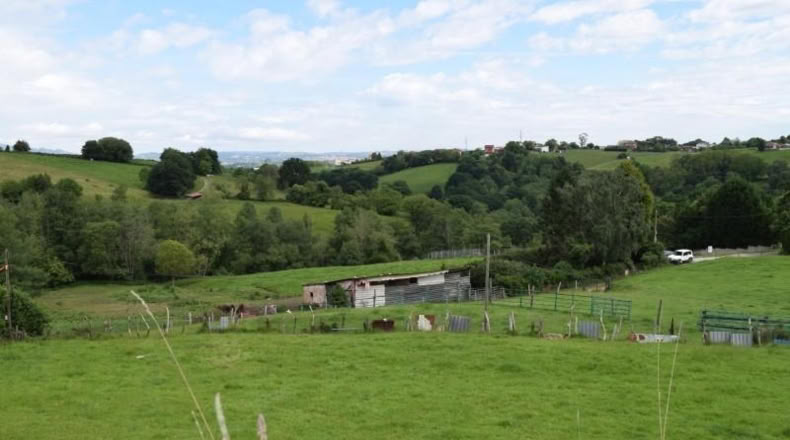 Asturias - Oviedo - 5000m2