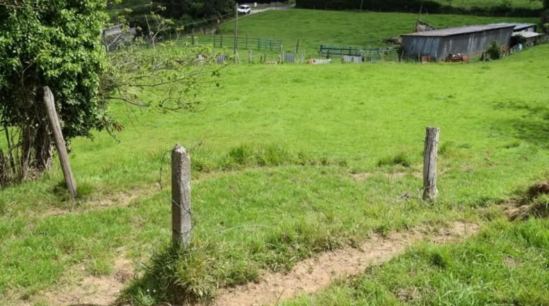 Asturias - Oviedo - 5000m2