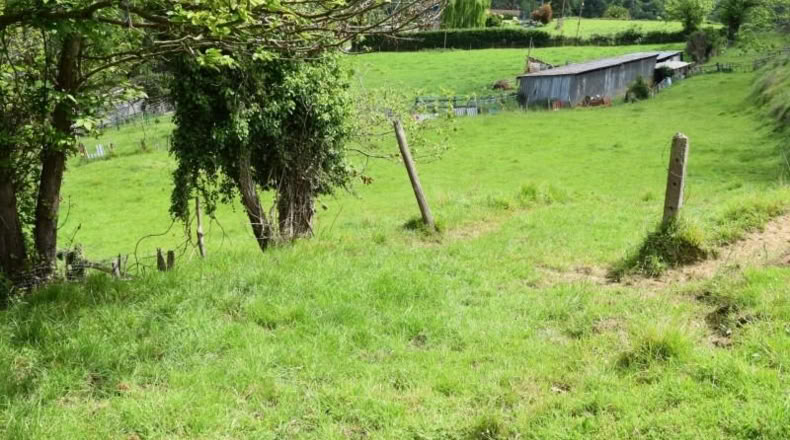 Asturias - Oviedo - 5000m2