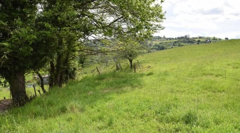 Asturias - Oviedo - 5000m2