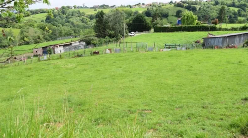 Asturias - Oviedo - 5000m2