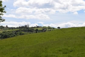 Foto 9