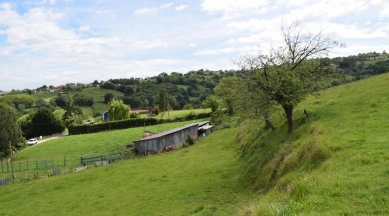 Asturias - Oviedo - 5000m2