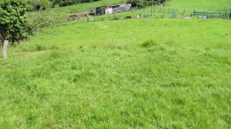 Asturias - Oviedo - 5000m2