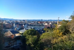 Foto 7