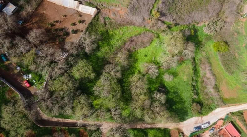 Santa Cruz de Tenerife - San Cristóbal de La Laguna - 5295m2