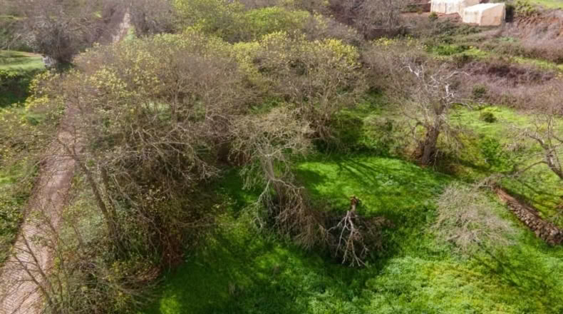 Santa Cruz de Tenerife - San Cristóbal de La Laguna - 5295m2