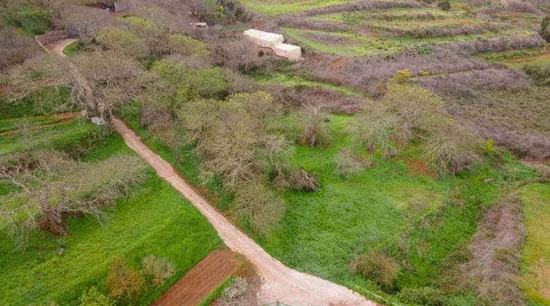 Santa Cruz de Tenerife - San Cristóbal de La Laguna - 5295m2