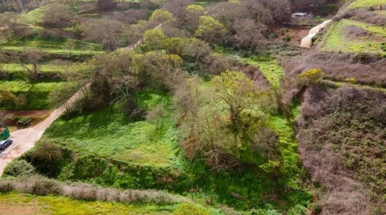 Santa Cruz de Tenerife - San Cristóbal de La Laguna - 5295m2