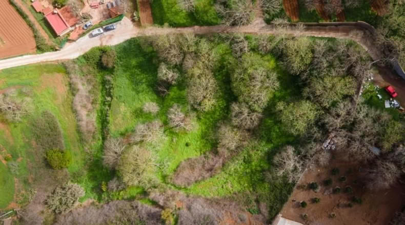 Santa Cruz de Tenerife - San Cristóbal de La Laguna - 5295m2