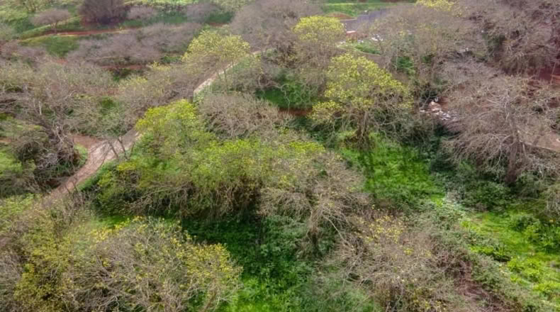 Santa Cruz de Tenerife - San Cristóbal de La Laguna - 5295m2