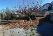 Detached villa with land for sale on España, La Zubia, ref: TR409535 photo