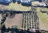 Detached villa with land for sale on España, La Zubia, ref: TR409535 photo