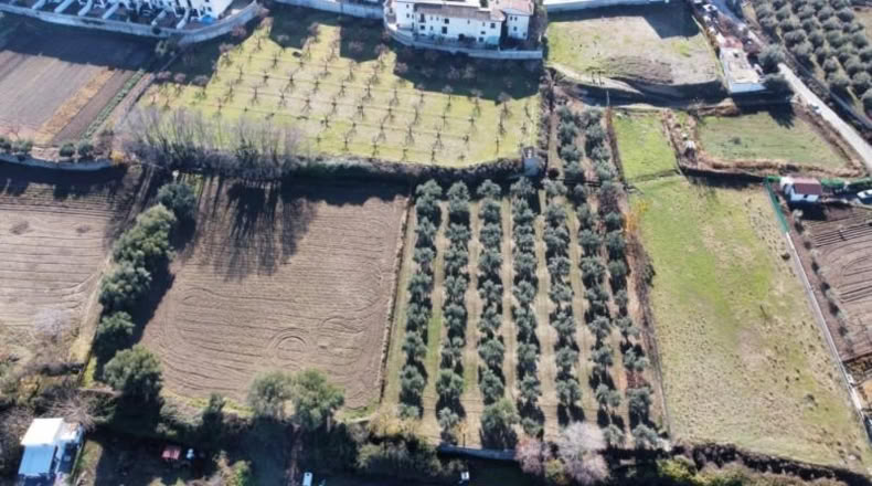 Granada - La Zubia - 3597m2