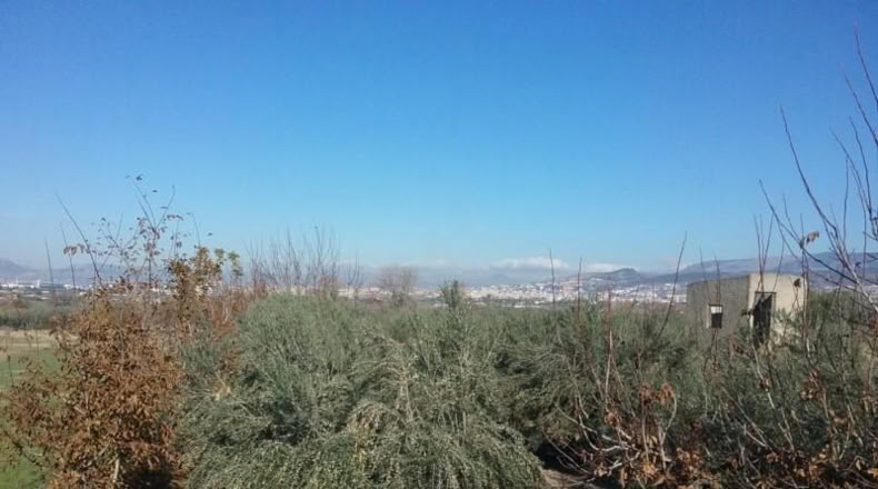 Granada - La Zubia - 3597m2