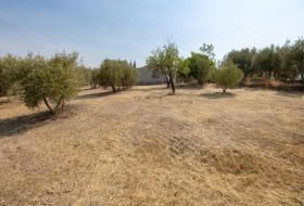 Moraleda de Zafayona 2600&nbsp;м²