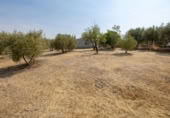 Xalet independent amb terreny en venda a la España, Moraleda de Zafayona, ref.: TR409531 foto