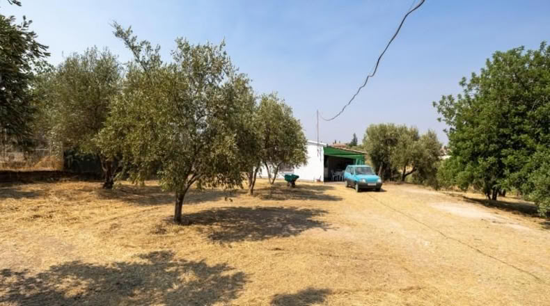 Granada - Moraleda de Zafayona - 2600m2