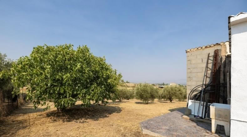 Granada - Moraleda de Zafayona - 2600m2