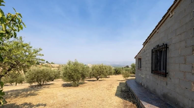 Granada - Moraleda de Zafayona - 2600m2