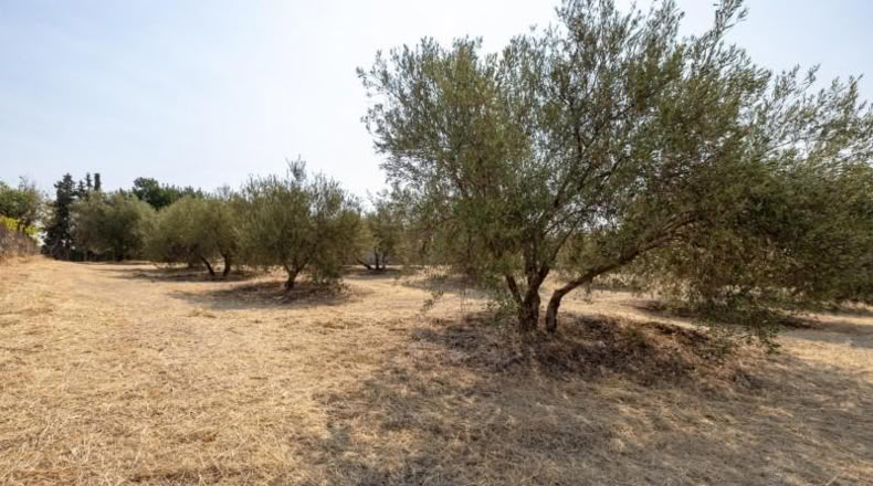 Granada - Moraleda de Zafayona - 2600m2