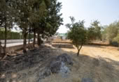 Xalet independent amb terreny en venda a la España, Moraleda de Zafayona, ref.: TR409531 foto