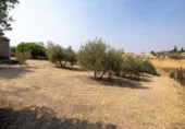 Xalet independent amb terreny en venda a la España, Moraleda de Zafayona, ref.: TR409531 foto