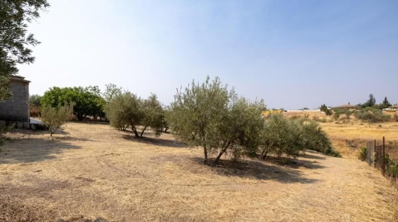 Granada - Moraleda de Zafayona - 2600m2