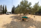 Xalet independent amb terreny en venda a la España, Moraleda de Zafayona, ref.: TR409531 foto