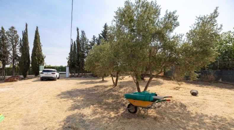 Granada - Moraleda de Zafayona - 2600m2